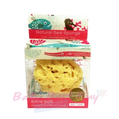 ͧӸҵ PunaPena  Silk Natural Sea Sponge size Large Ҵ˭