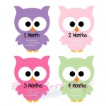 絺ʹٷ 12 ͹  Owl Monthly Onesies by Paperoom
