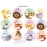 絺ʹٷ 12 ͹ ѵ Paperoom Monthly Onesies Jungle Animals