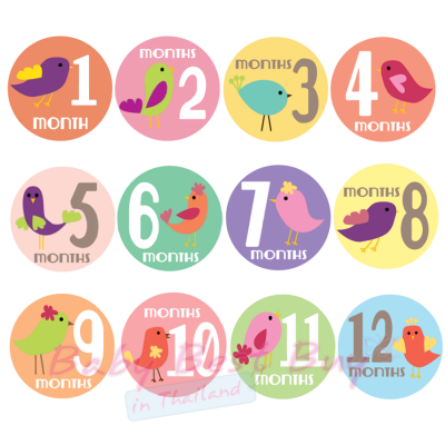 絺ʹٷ 12 ͹ ʹٻ Snoopy Monthly Onesies by Paperoom
