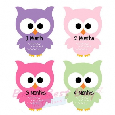 絺ʹٷ 12 ͹  Owl Monthly Onesies by Paperoom