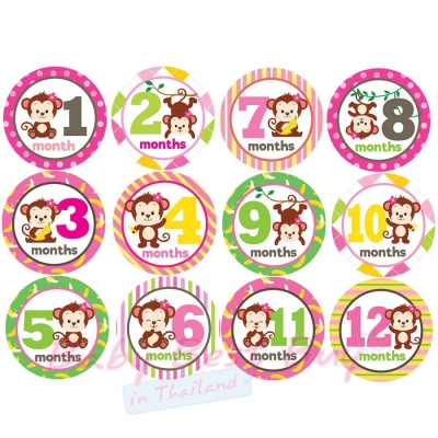 絺ʹٷ 12 ͹ ԧժ Girl Monkey Monthly Onesies by Paperoom