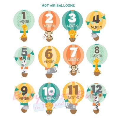 絺ʹٷ 12 ͹ ѵ Paperoom Monthly Onesies Hot Air Balloon