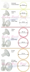 Breast Flange Scale