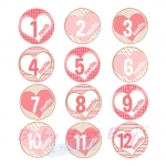 เซ็ตบอดี้สูท 12 เดือน Pink Heart Monthly Onesies by Paperoom