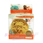 ͧӸҵ PunaPena Natural Sea Sponge size Large Ҵ˭