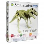 ͧ֡͡ Smithsonian Micro T.Rex Fossil ʫ